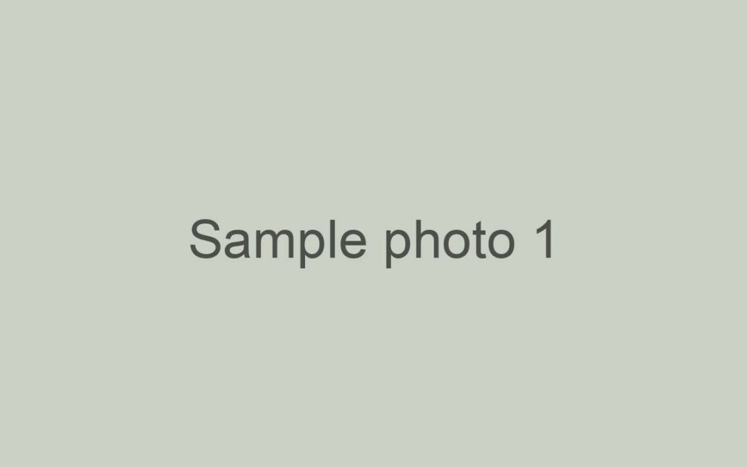 Sample: Photos from Alex