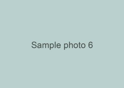 Sample: The Lake House
