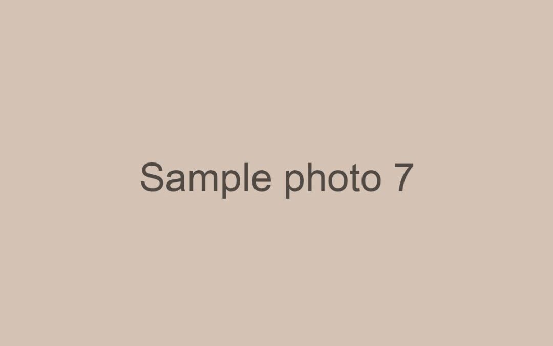 Sample: Painting from the Studio